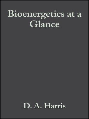 cover image of Bioenergetics at a Glance